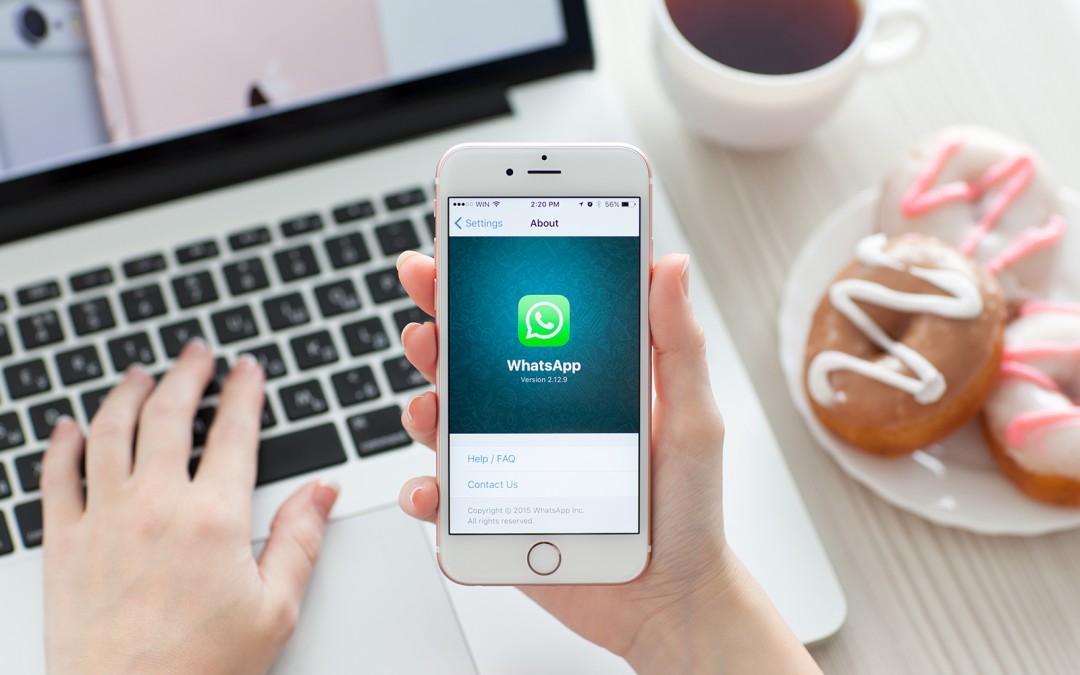 Surgem mais detalhes sobre versão do WhatsApp para empresas