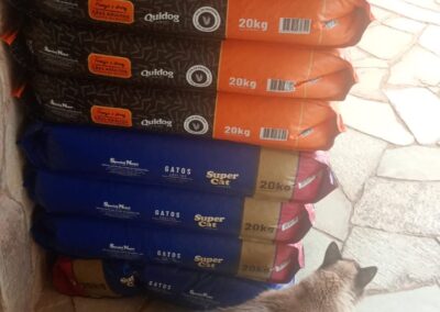 Grupo de Protetores de Animais da Julia Mareno – Dez/25