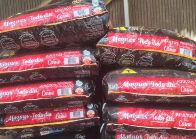 Protetora por Amor – Jan/26